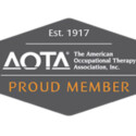 The American Occupational Therapy Association